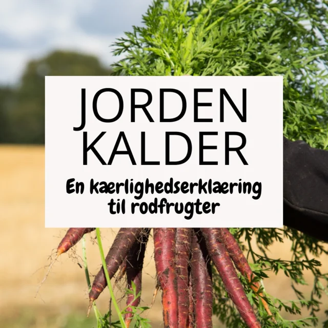 ✨ En kærlighedserklæring til rodfrugter! ✨
Selvom det er sidst på sæsonen, er foråret den perfekte tid til at fylde din tallerken med næringsrige rodfrugter som gulerødder, rødbeder og pastinakker! De er ikke kun fyldt med vitaminer og mineraler, men hjælper også med en sund fordøjelse og giver energi til de lysere dage. 🌱💪
Husk også at vælge lokale rodfrugter – det er godt for både din sundhed og miljøet! 🌍🍽️
#SundMad #Rodfrugter #Forår #BæredygtigSpisning #SundLivsstil